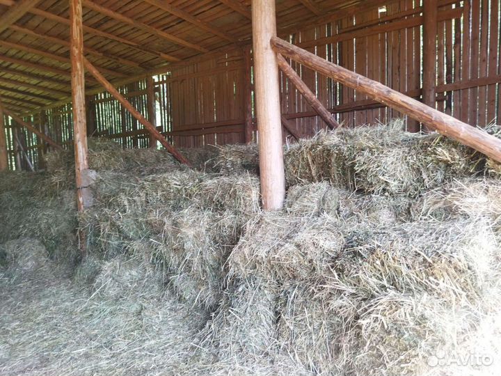 Продам сено в тюках