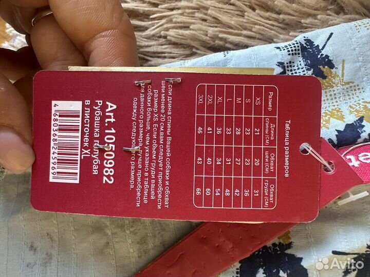 Одежда для собак