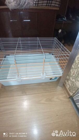 Крысята сиамские дамбо*Клетка 50 *33