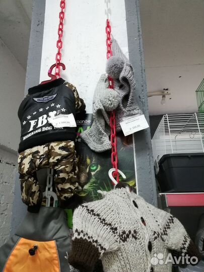 Одежда для собак и котов