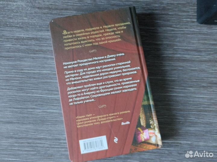 Книга Духи Рождества на Трэдд-стрит