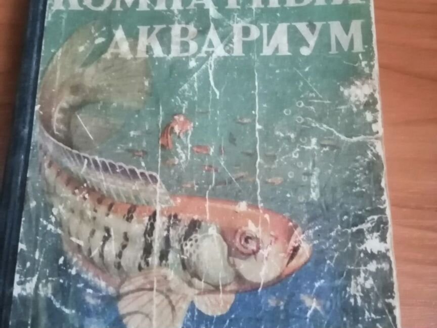 Комнатный аквариум