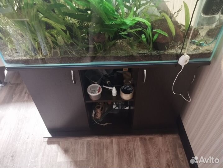 Аквариум 200л с тумбой и рыбами