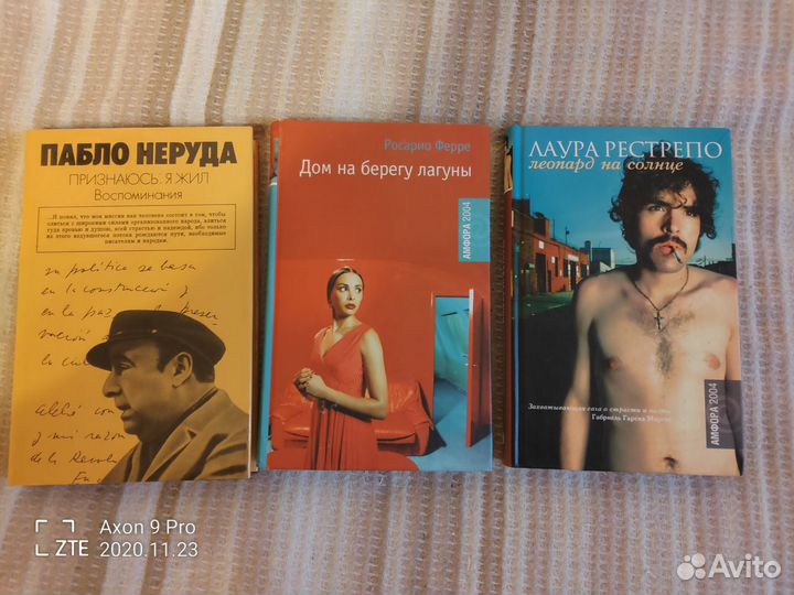 Литература Испании и Латинской Америки (200 кн.)