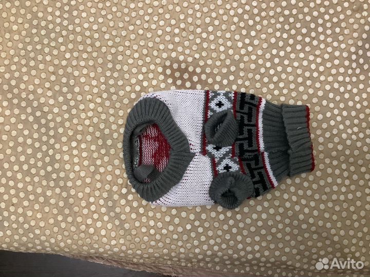 Одежда для маленьких собак или кошек