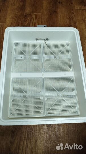 Инкубатор на 77 яиц