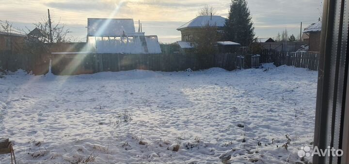 Передержка собак