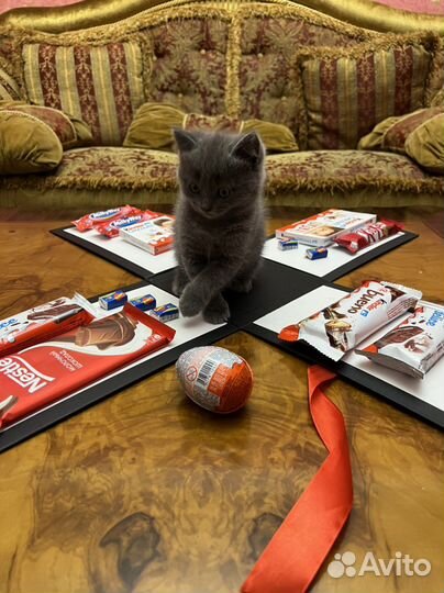 Подарок для девушки