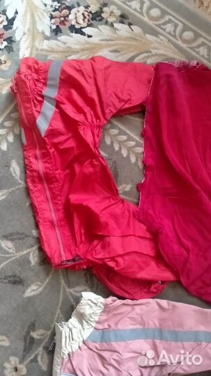 Одежда для собак