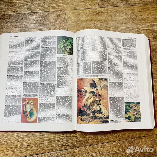 Энциклопедический иллюстрированный словарь