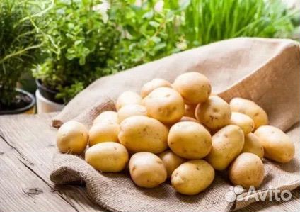 Продаётся картофель