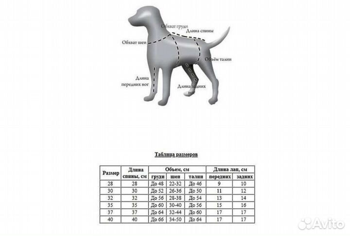 Комбинезон ветровочный для собаки