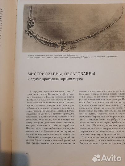 И. Аугуста, З. Буриан. Ящеры древних морей