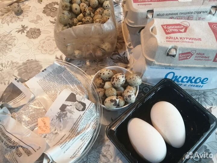 Молоко козье и коровье, мясо, продукты из деревни