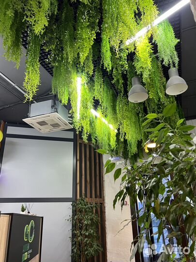 Искуственная зелень, вертикальное озеленение