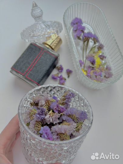 Сухоцветы для творчества