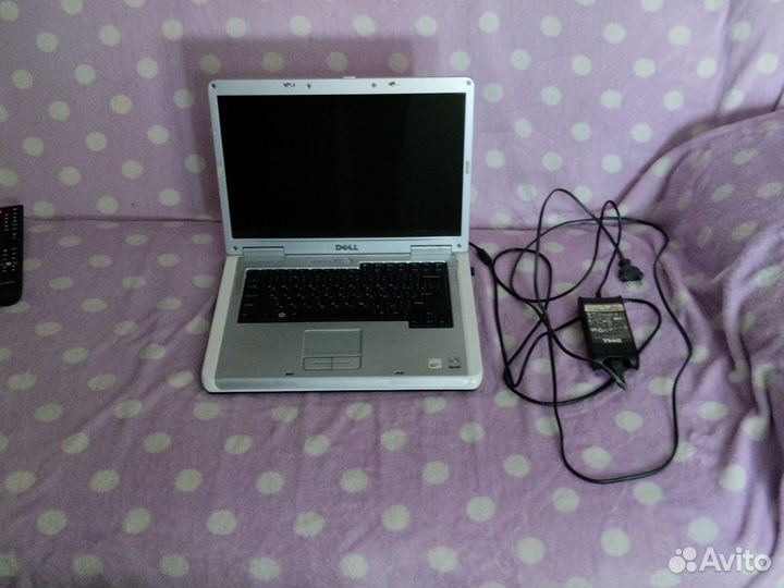 Dell inspiron 1501