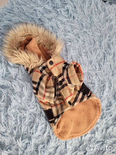 Собачья одежда