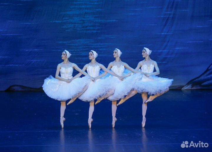 Лебединое озеро Большой театр билеты VIP