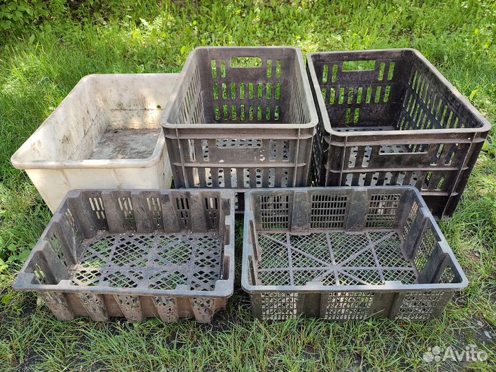 Пищевые ящики, тары, контейнеры 5 шт