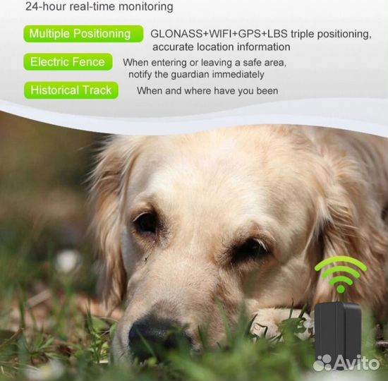 Gps ошейник для кошек и собак