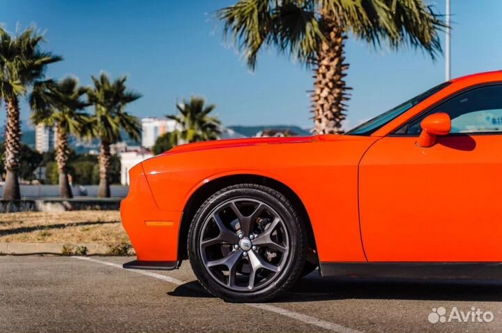 Прокат Dodge Challenger Сочи Адлер