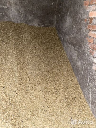 Зерно пшеница ячмень