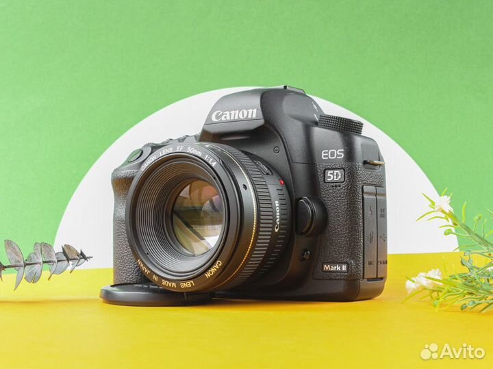 Фотоаппарат Canon 5D mark II kit 50mm f1.4 USM