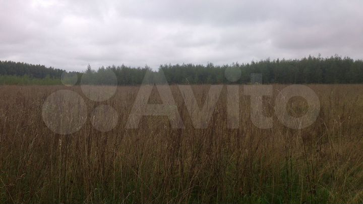Участок 79 сот. (ИЖС)