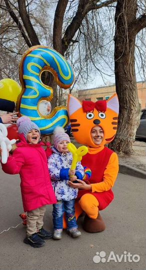 Аниматор, ростовые куклы, серебряное шоу