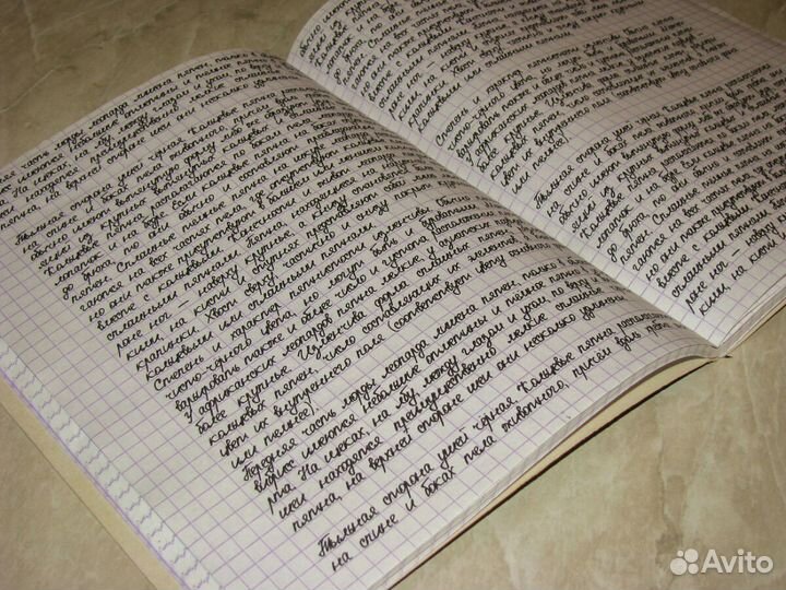 Перепишу лекции,конспекты