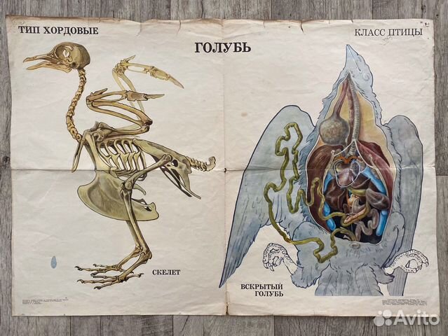 Плакат 1971 г размер 83-59