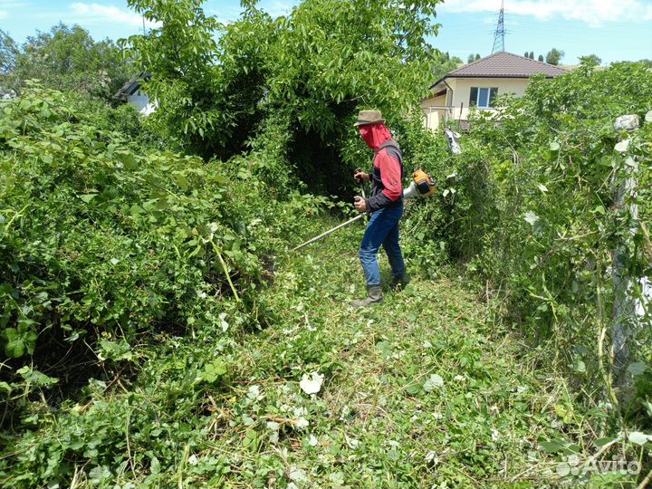 Расчистка участка, Спил деревьев Покос травы