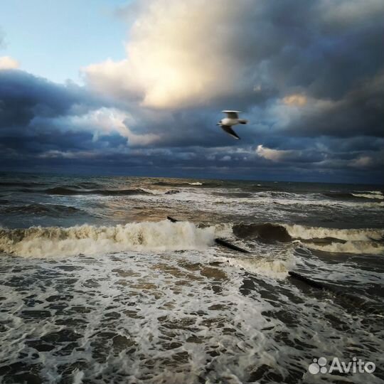 Экскурсии по Калининграду и Калининградской област