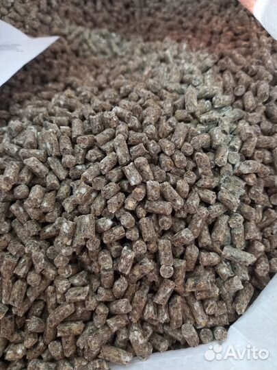 Комбикорм для суягных маток овец