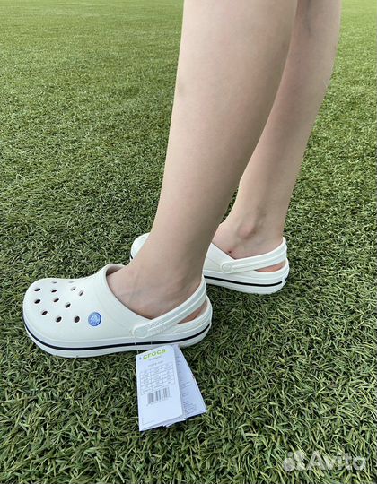 Crocs crocband