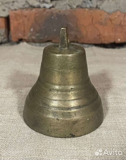 Колокольчик дужный