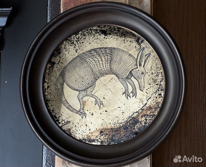 Оротон с броненосцем