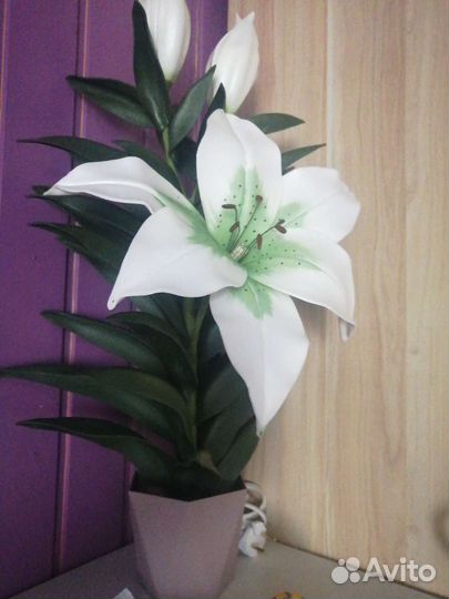 Светильники