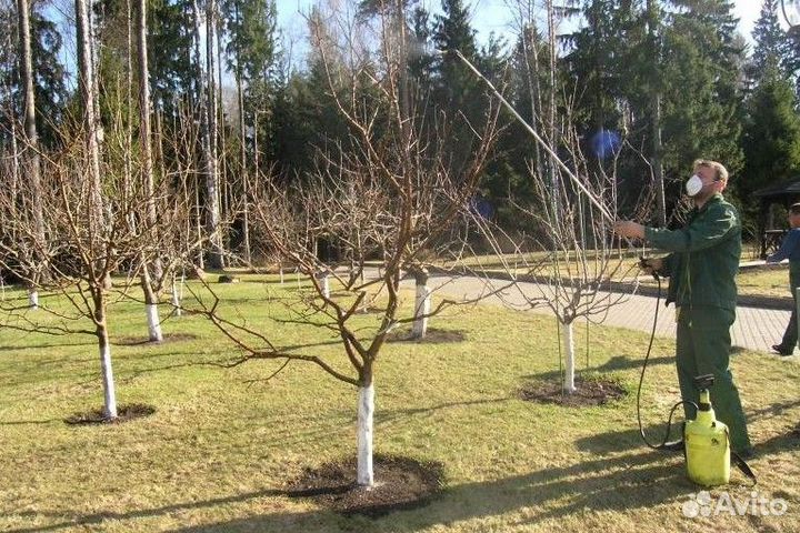 Удочка для опрыскивателя телескопическая 2.8 м