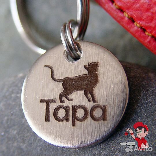 Лазерная гравировка адресник для кошки