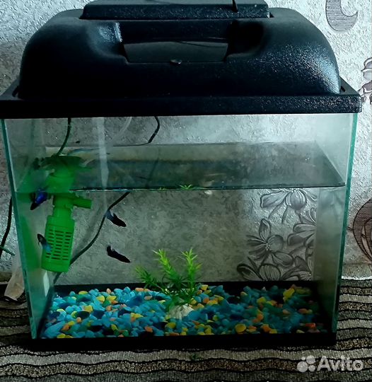 Аквариум с рыбками