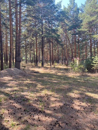 Дача 90 м² на участке 50 сот.