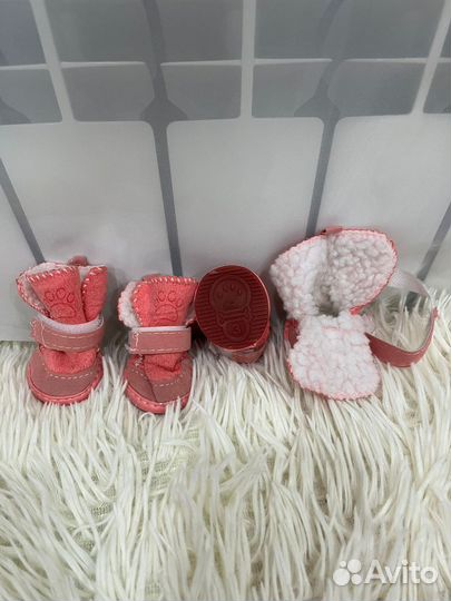 Одежда и амуниция для собак