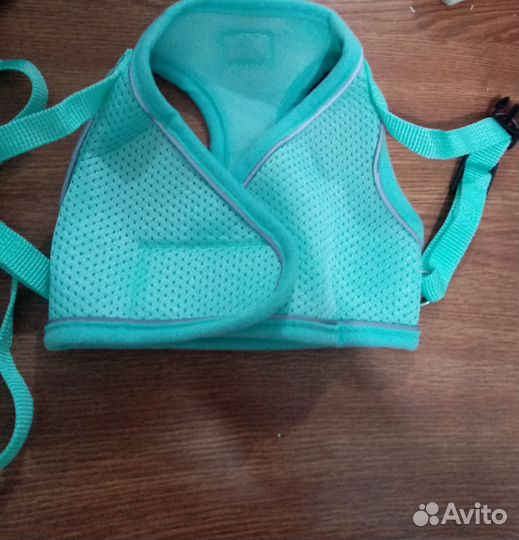 Шлейка с поводом