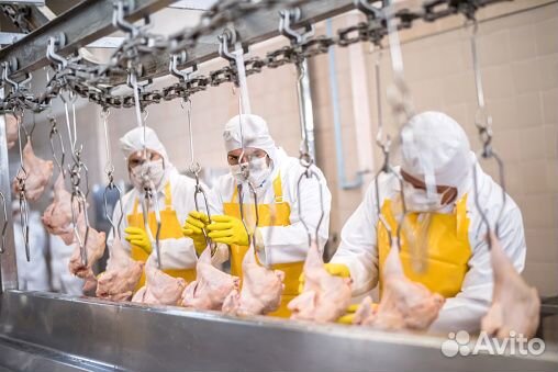 Упаковщик на производство Вахта/проживание/питание