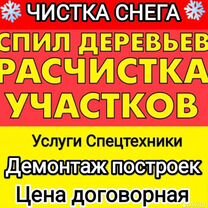 Спил деревьев,расчистка участков,обрезка плодовых