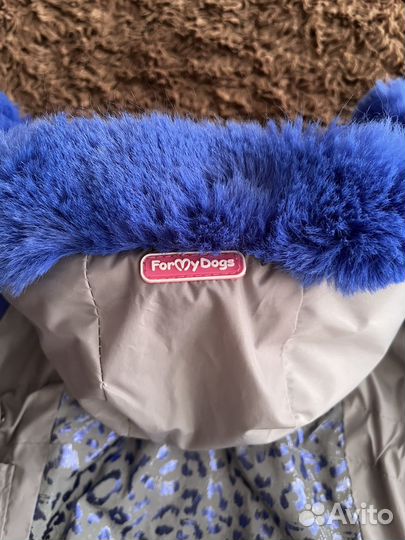 Одежда для собак комбинезон