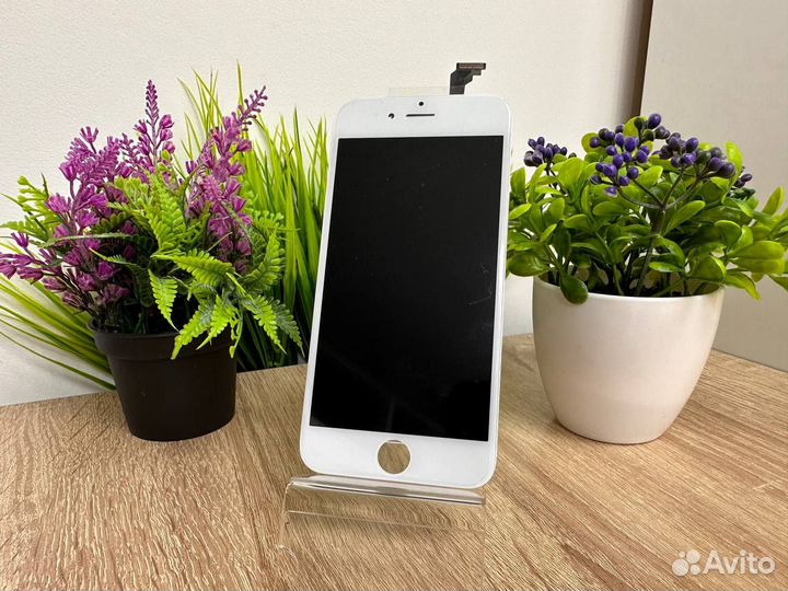 Дисплей iPhone 6 белый