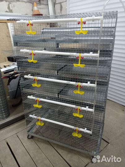 Клетка для перепелов